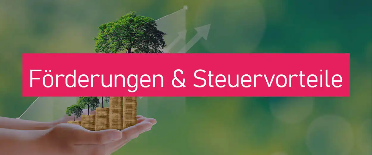 Förderungen und Steuervorteile